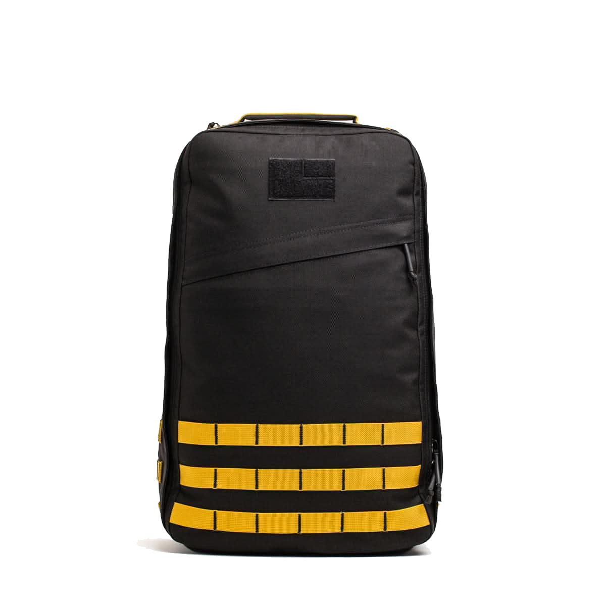 Black + Gold