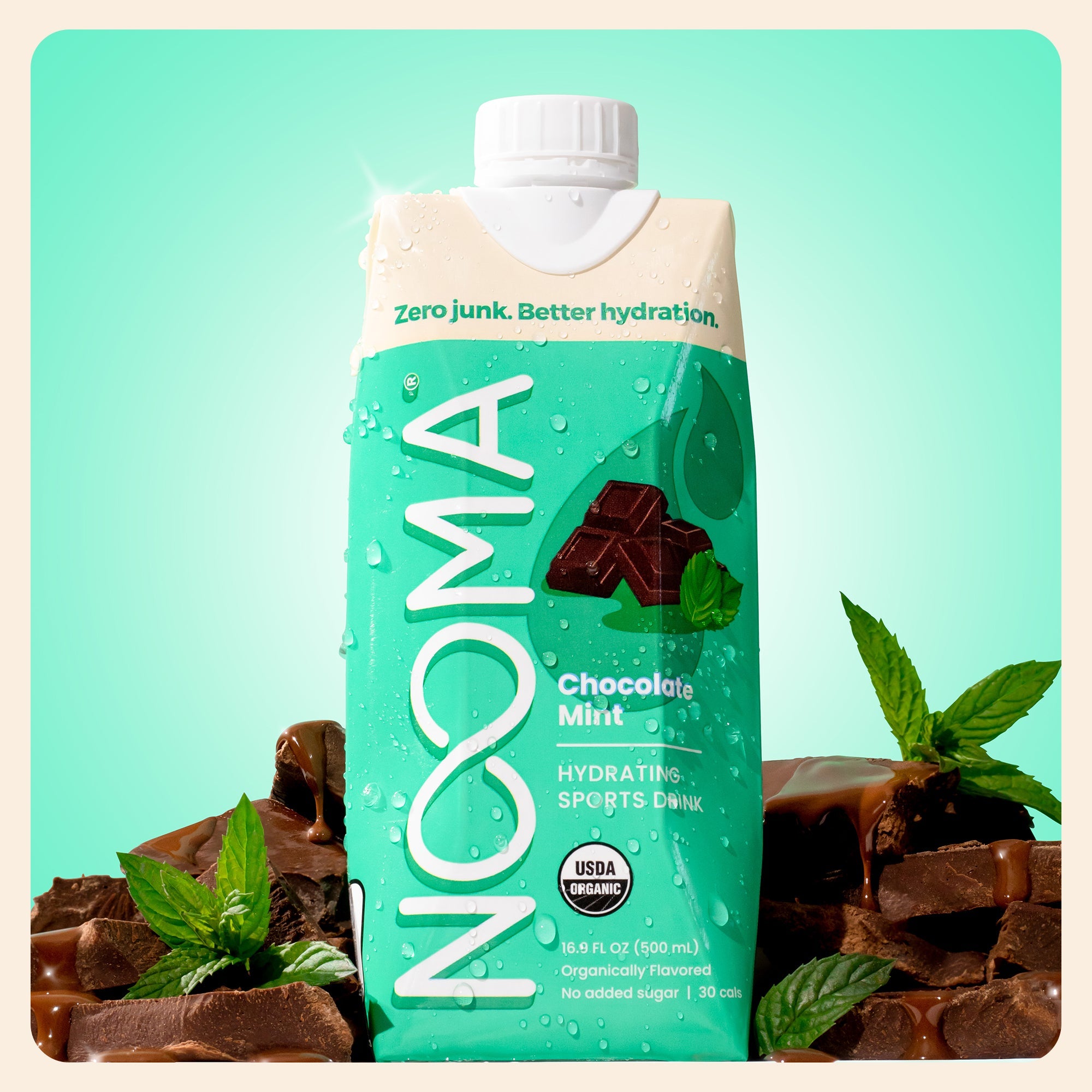 Nooma Hydration Chocolate Mint