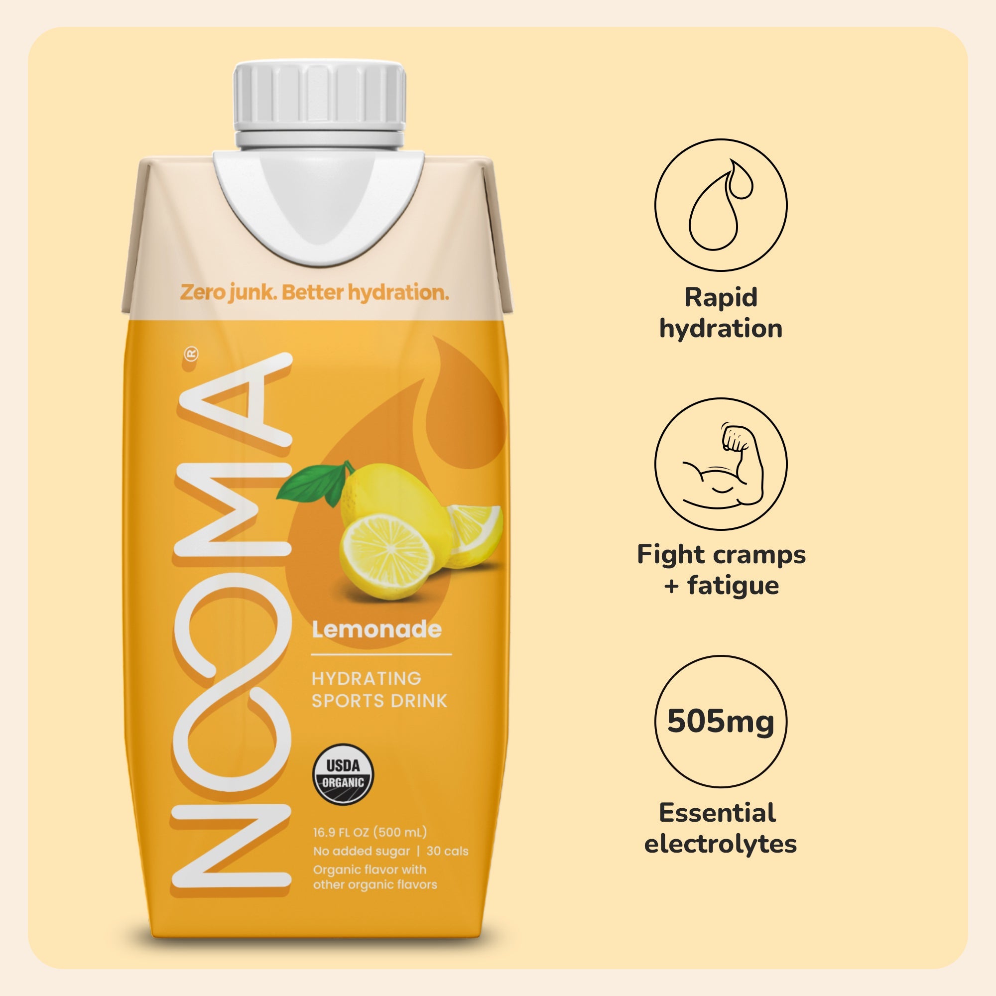 Nooma Hydration Lemonade